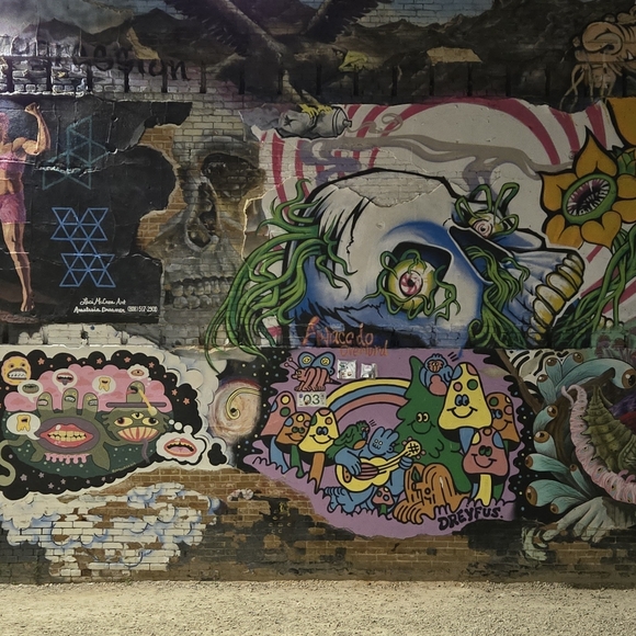 Meet your Posher, Diana - Picture 7 of 8